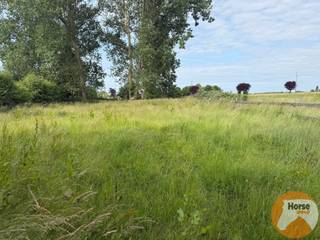 HUMBEEK - Weiland met paardenaccomodatie en piste in het groene HumbeekBent u op zoek naar een groene oase voor uw paarden of andere dieren, omgeven...