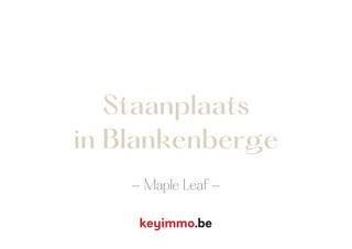 Staanplaats gelegen in het nieuwbouwproject Maple Leaf. Een zeer centrale locatie in Blankenberge die ook perfect dienst kan doen als...