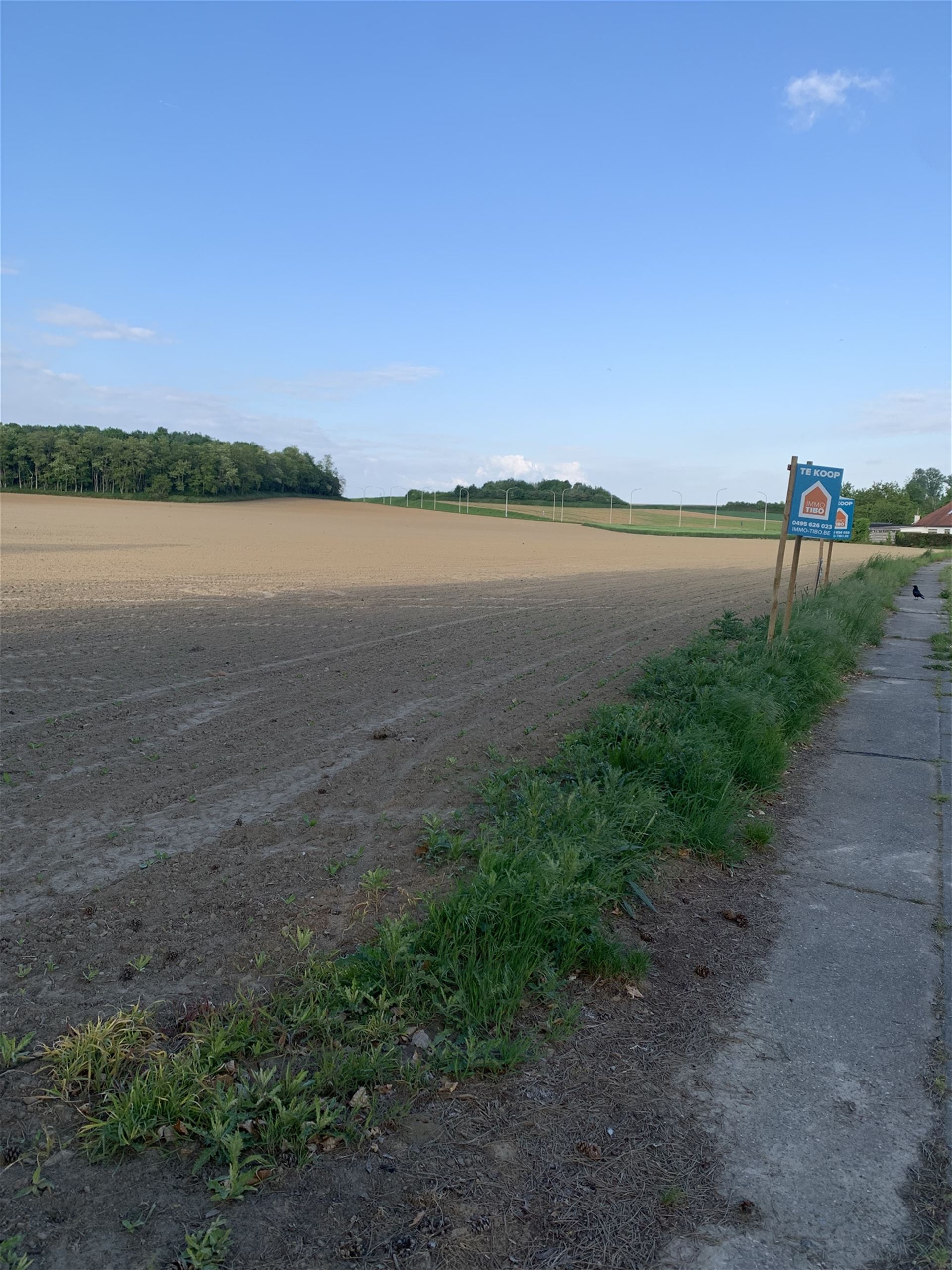 Bouwgrond - foto 5