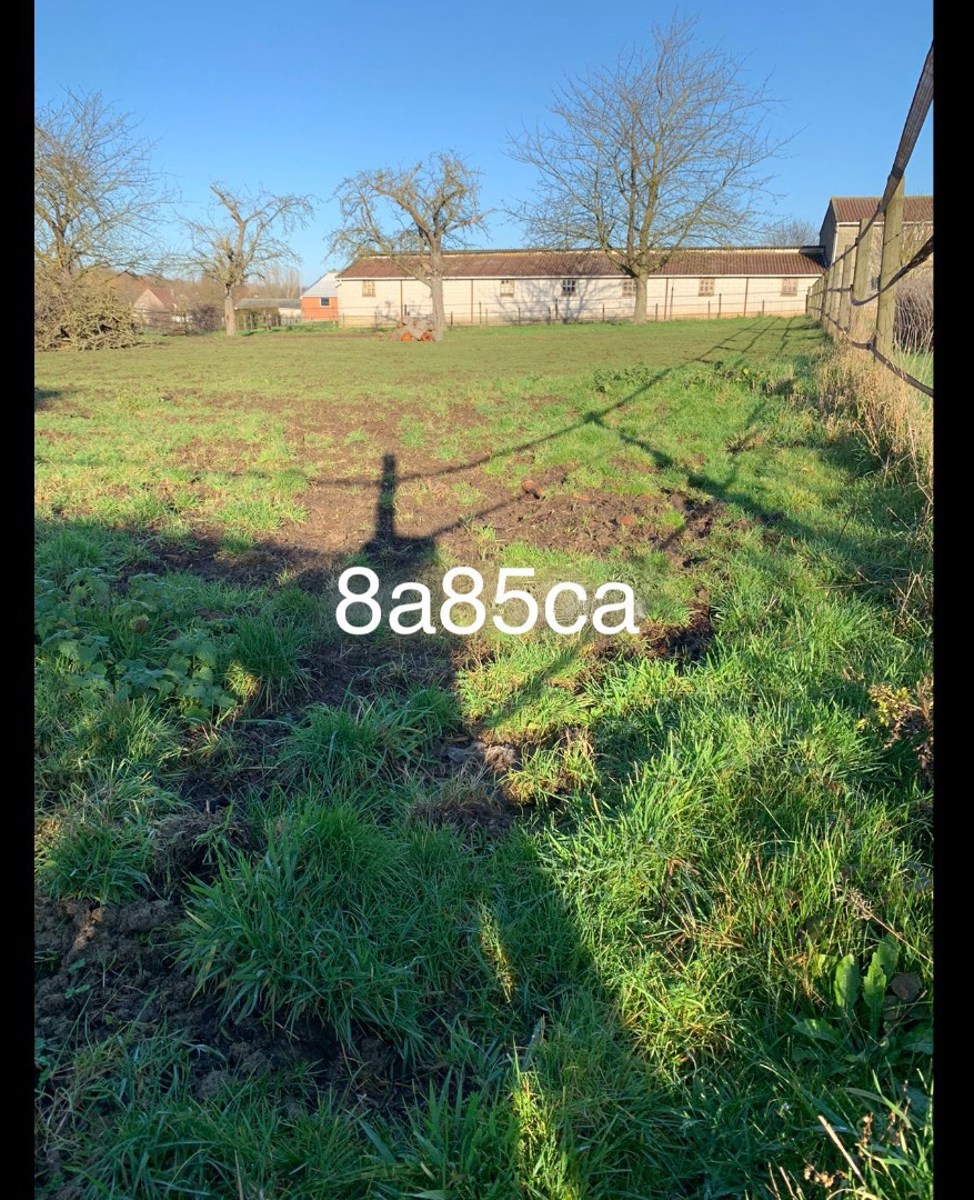 Ruim perceel van  voor  885m² open bebouwing in Widooie (Tongeren), perfect voor natuurliefhebbers! - foto 3