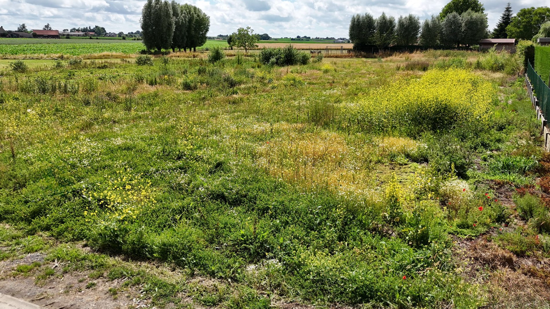 Bouw uw droomwoning in deze landelijke omgeving! - foto 4