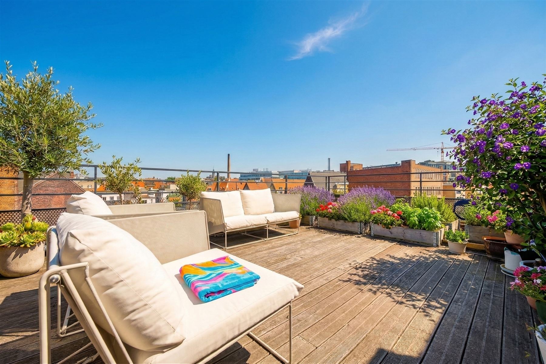 Duplex/Penthouse - photo 4