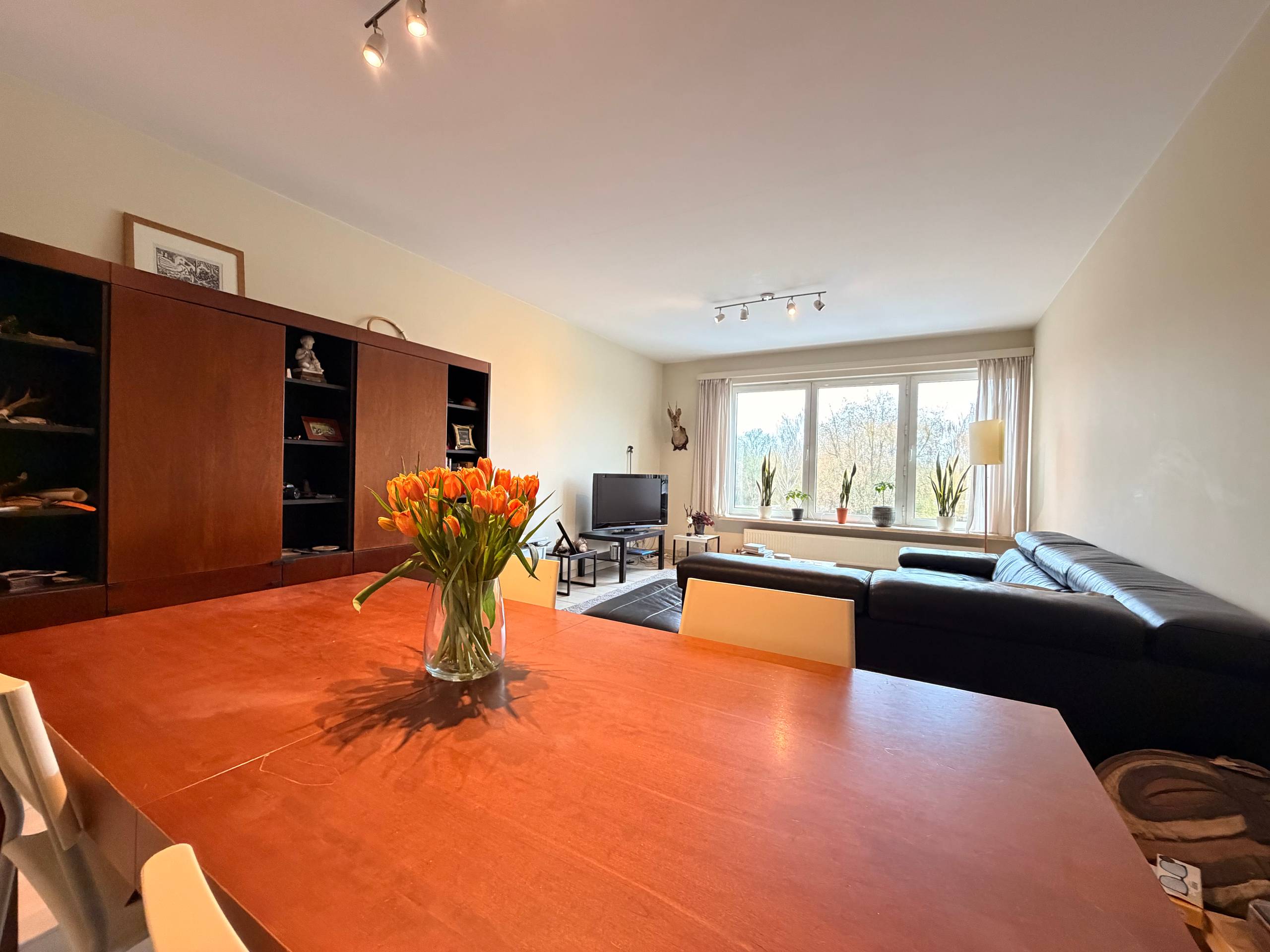 Ruim 1-slaapkamer appartement met garagebox nabij centrum Hasselt. - foto 5