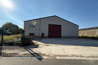 <p>Magazijn van 1500m2 te huur in Kruisem.<br />Het magazijn is voorzien van een sectionale poort.<br />Voldoende manoeuvreerruimte.<br />Goed gelegen nabij invalswegen.<br />Interesse? Contacteer Immo Roman, gsm 0472 359 286.</p>
<p> </p>