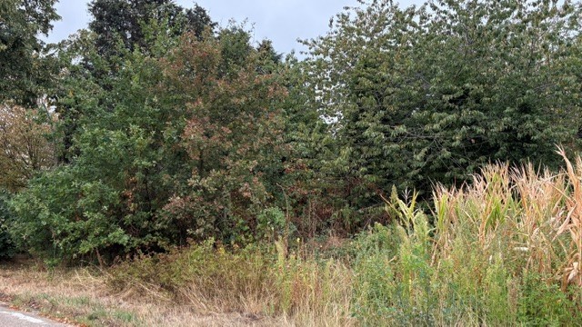 Bouwgrond voor open bebouwing - foto 5