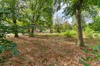 <strong>Schitterend villaperceel van circa 1.750 m². Deze villagrond ligt in de bosrijke en residentiele villawijk " de Lint" op wandelafstand van natuurgebied "De Liereman" en op slechts 5 autominuten van de E34 Antwerpen-Eindhoven.<br />De straat is doodlopend, wat zorgt voor extra rust en privacy.</strong><br /><br /><span>Bijzonderheden:</span><br /><span>- Straatbreedte 35m</span><br /><span>- Niet gelegen in een risicozone voor overstromingen</span><br /><span>- Woonparkgebied</span><br /><span>- Bosdecreet van toepassing</span><br /><span>- Nutsvoorzieningen aanwezig in de straat</span><br /><span>- Geen bouwverplichting</span><br /><span>- Bouwvoorschriften op aanvraag verkrijgbaar</span>