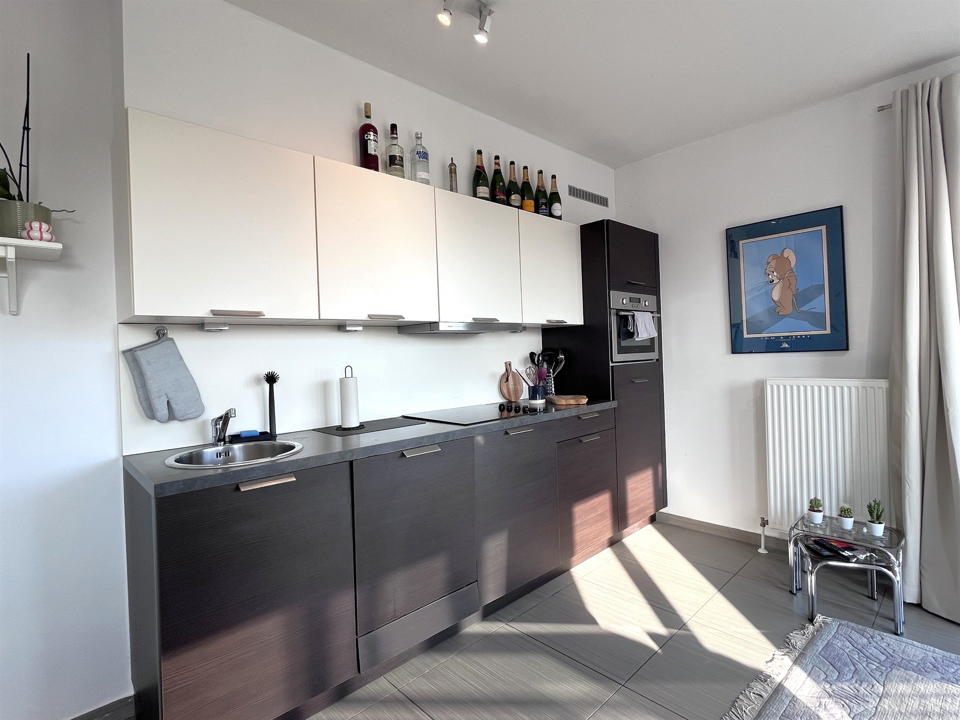 Instapklaar 1slpk-appartement met wijds uitzicht - foto 3