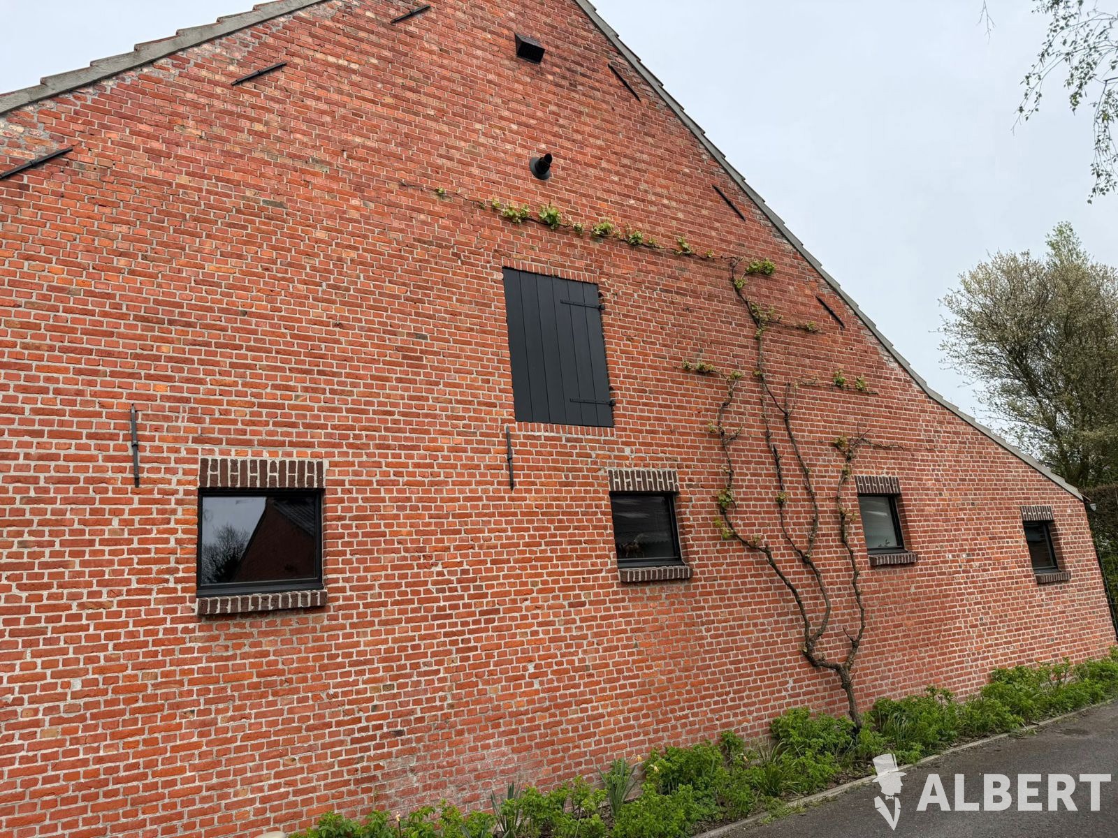 Gerenoveerde boerderij vrij vanaf 1/8/2026 - foto 2