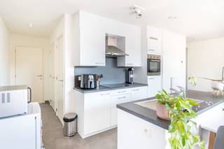 Dit gezellig en lichtrijk appartement werd afgewerkt met zeer kwalitatieve materialen en is reeds voorzien van vliegenramen en gordijnen. Het...