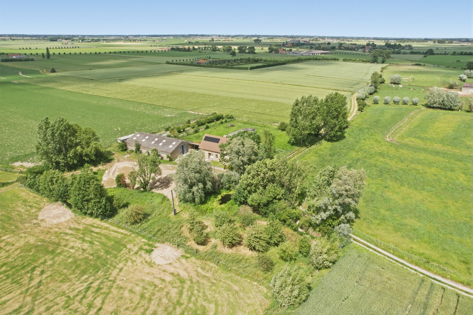 Recente open bebouwing (2019) op een perceel van maar liefst +- 8000 m², - foto 1