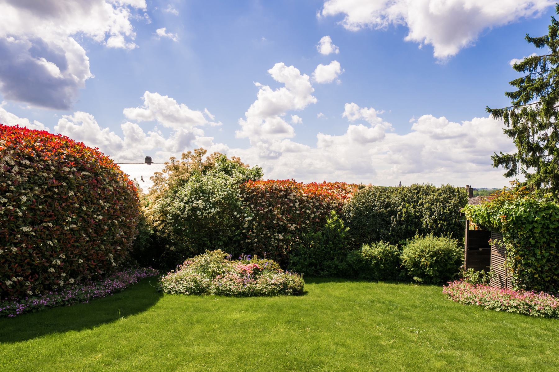 House for sale in Bierbeek with 4 bedrooms - photo 5