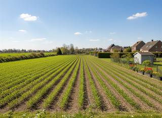 Landbouwgrond te koop!Heeft u interesse in verpachte landbouwgrond? Deze grond genereert direct inkomsten en is daardoor zeer geschikt als...