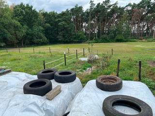 Gelegen te Zoersel.
Weiland met aansluitend bos te koop. Waterput aanwezig, 2 open schuilstallen, opslagruimte, piste en omheining. 16.770m²
10145m² weiland en 6725m² bos.
Makkelijk bereikbaar via servitudeweg.
Vrij van pacht en eventueel onmiddelijk beschikbaar.