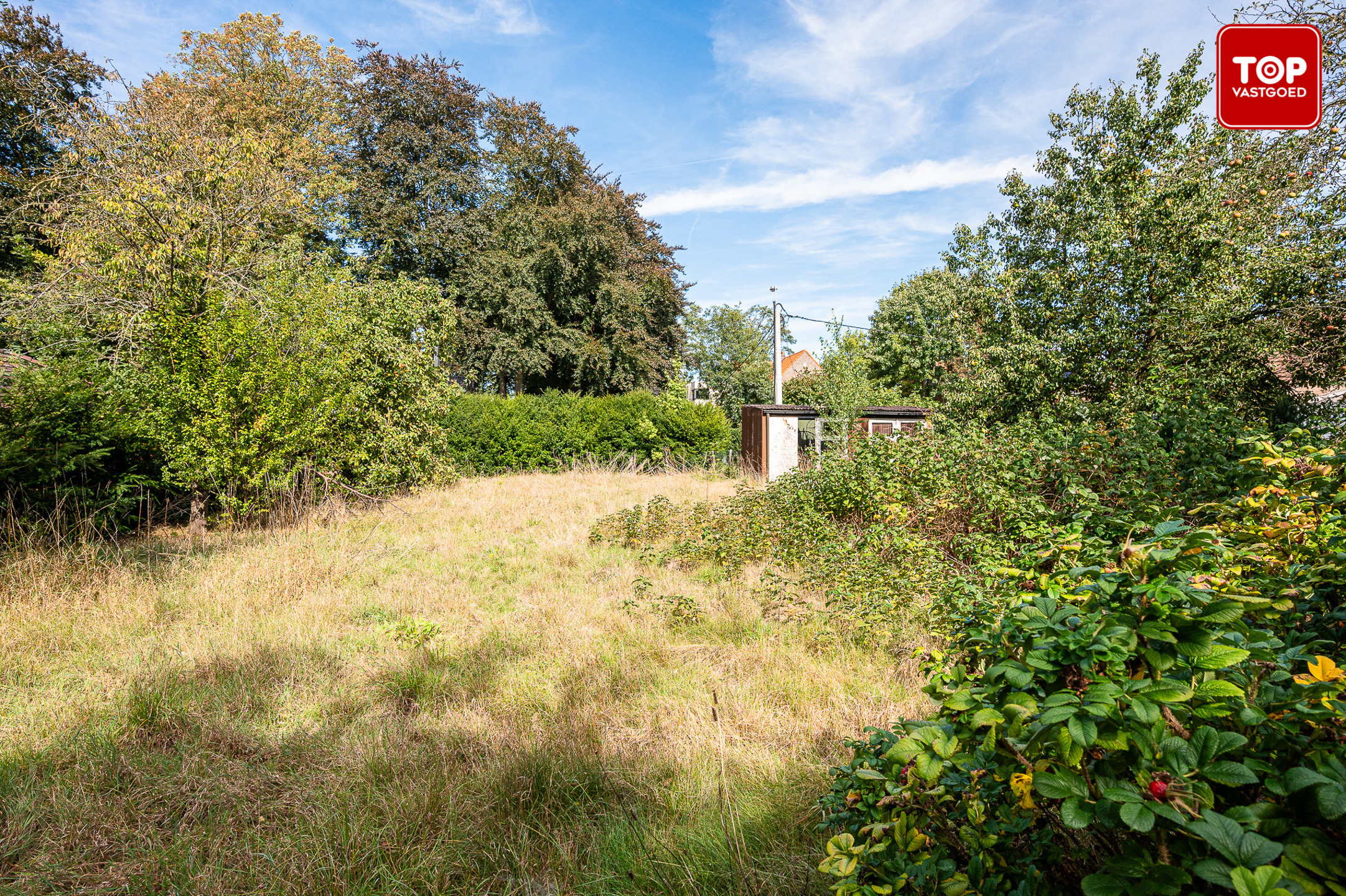 Terrain à vendre à Mariakerke - photo 4