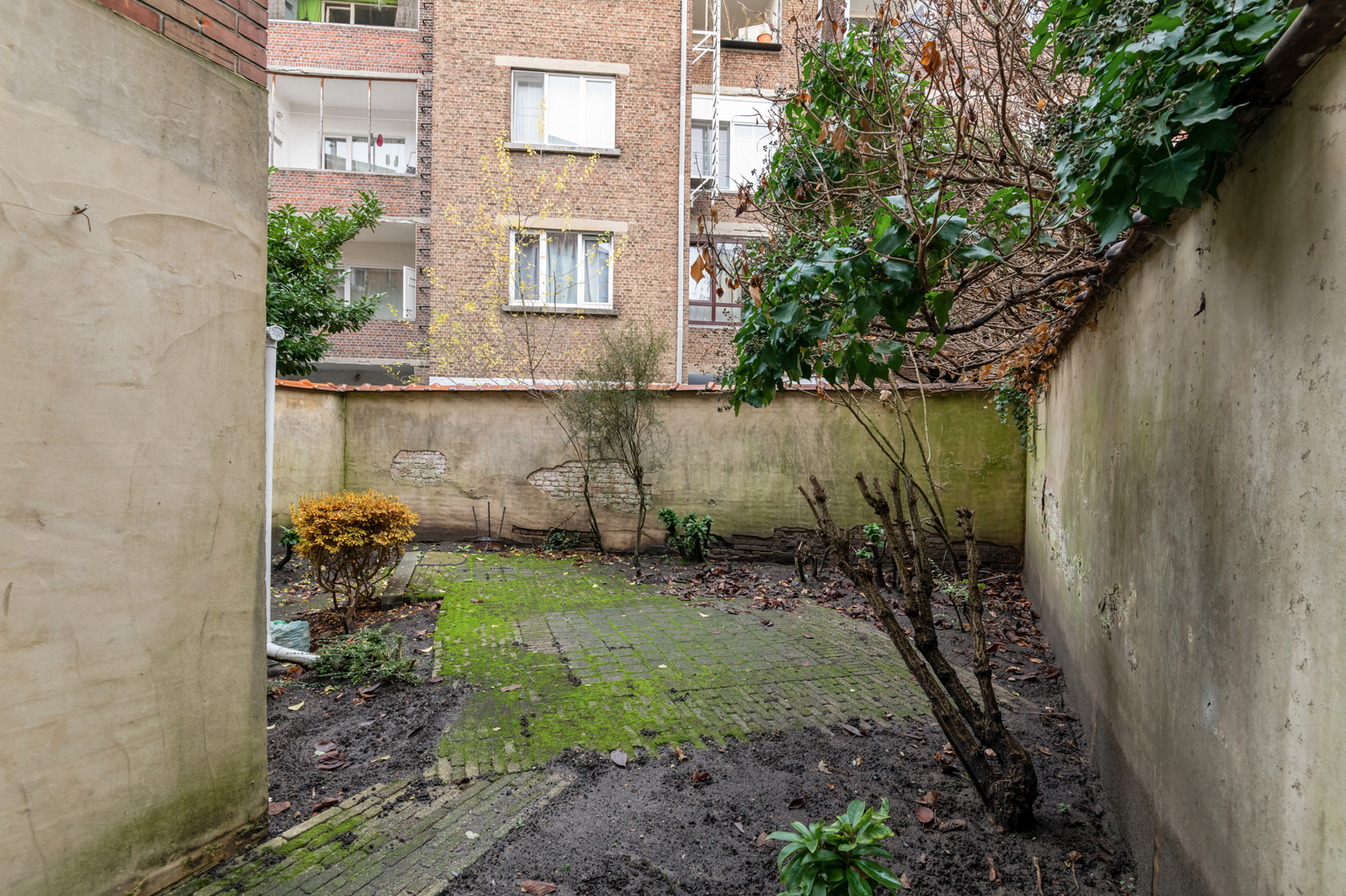 Rendabele opbrengsteigendom met 8 units - foto 3