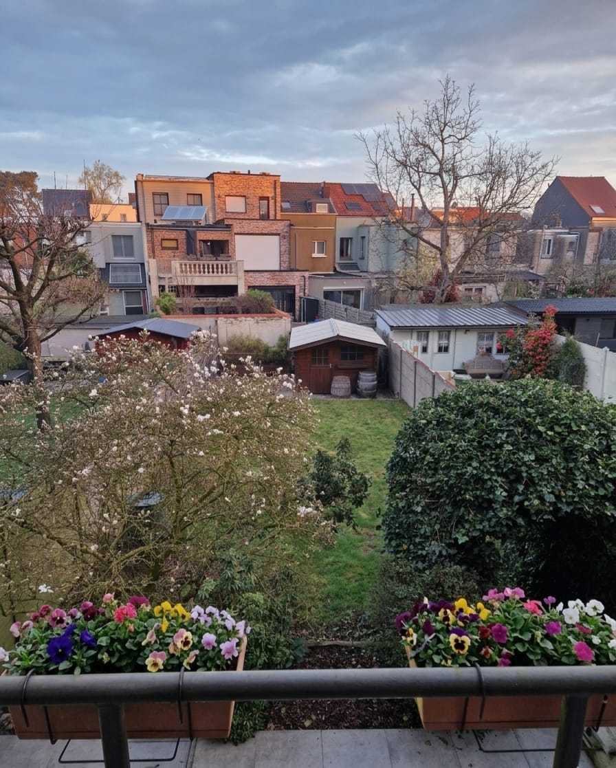 Huis te koop in Deurne met 3 slaapkamers - foto 3
