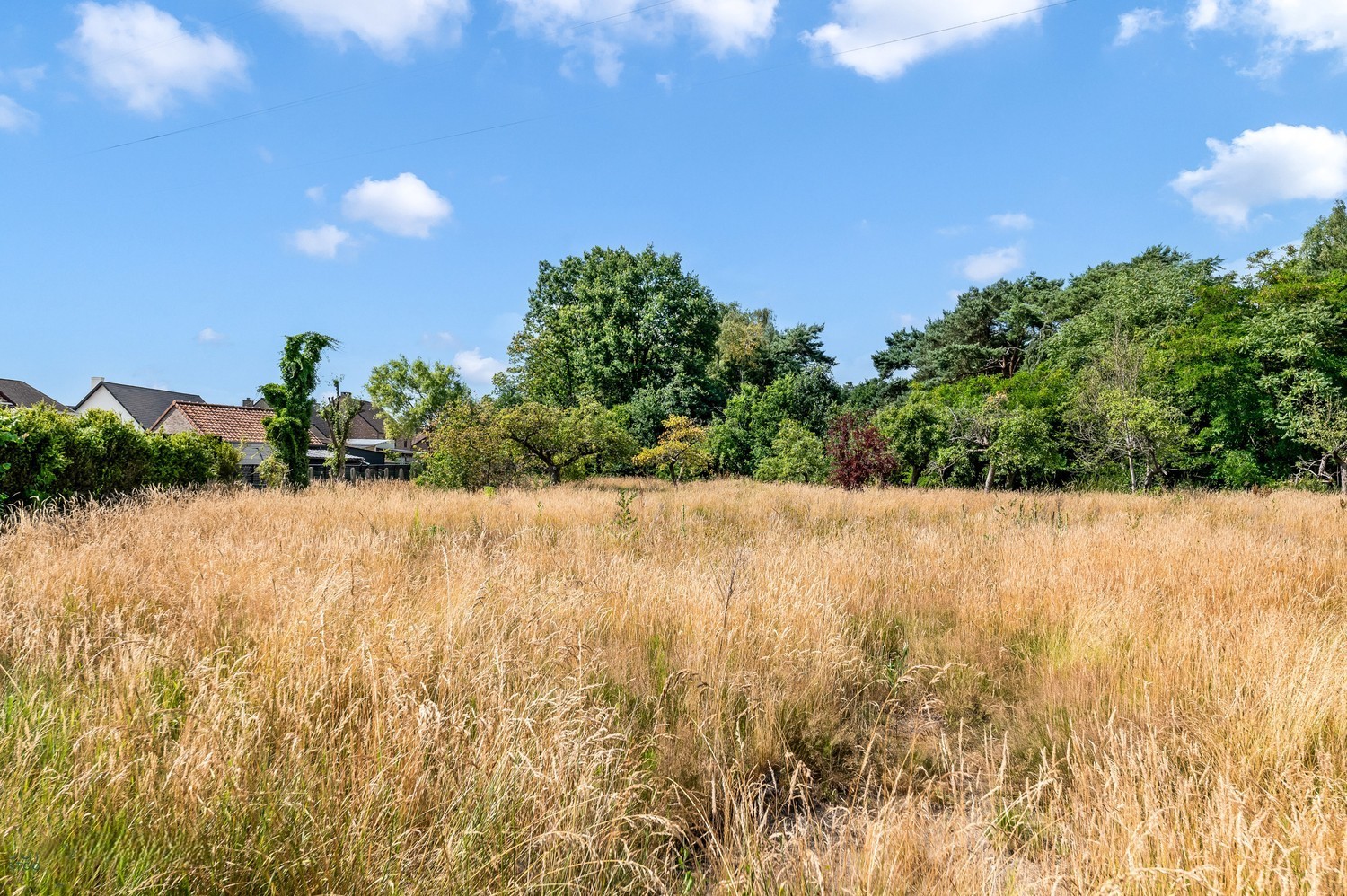 Bouwgrond van 1070 m² voor open bebouwing te Tessenderlo-Ham - foto 4