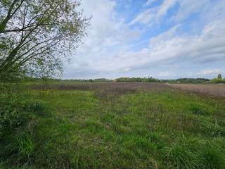 Perceel hooiland gelegen langsheen de Grote Spekstraat. Het perceel is eenvoudig te bereiken via de straat en is omgeven door andere akkerlanden...