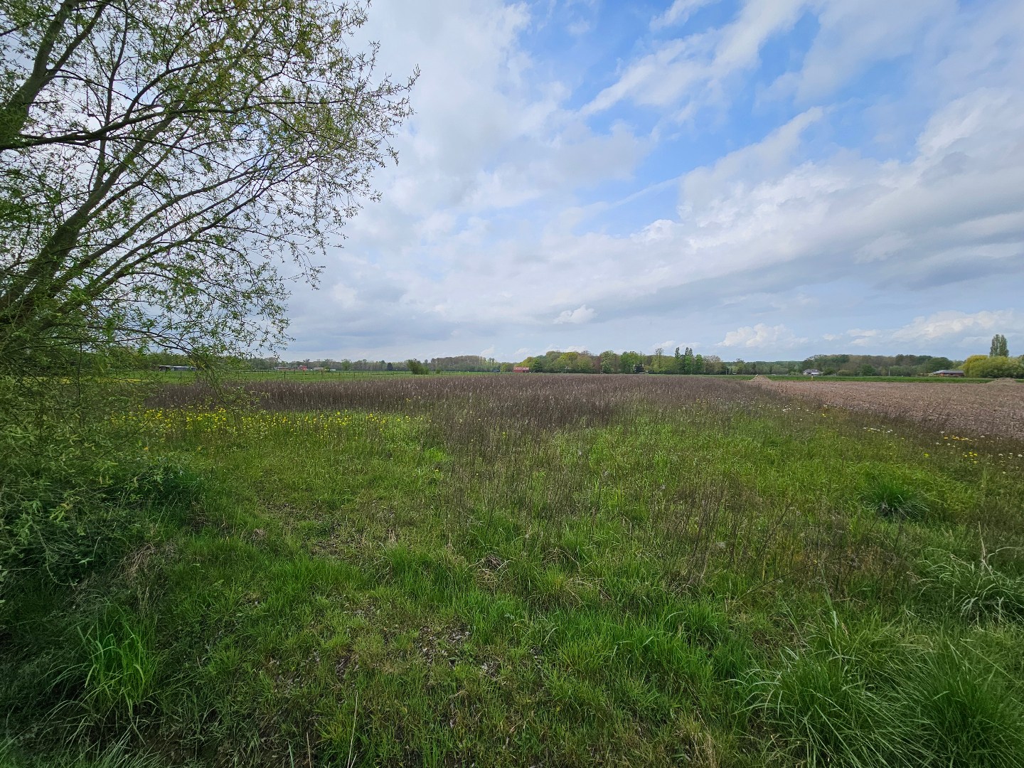 Grond te koop in Veltem-Beisem - foto 3