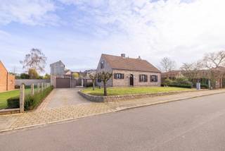 Maison à vendre à Herenthout