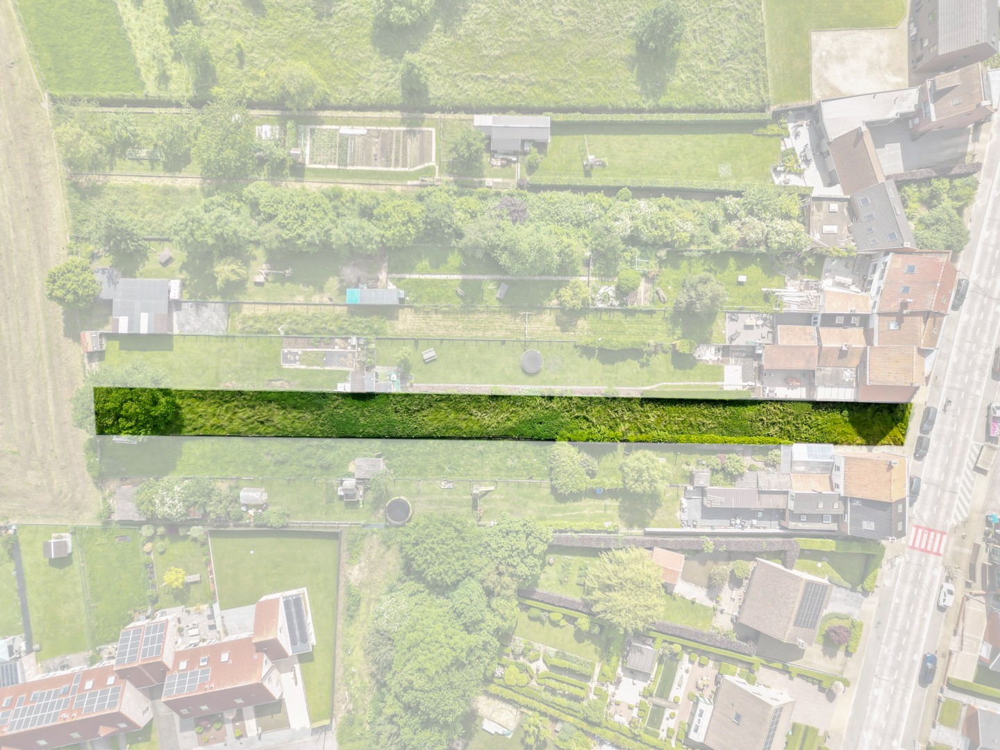 Land for sale in Amougies - photo 3