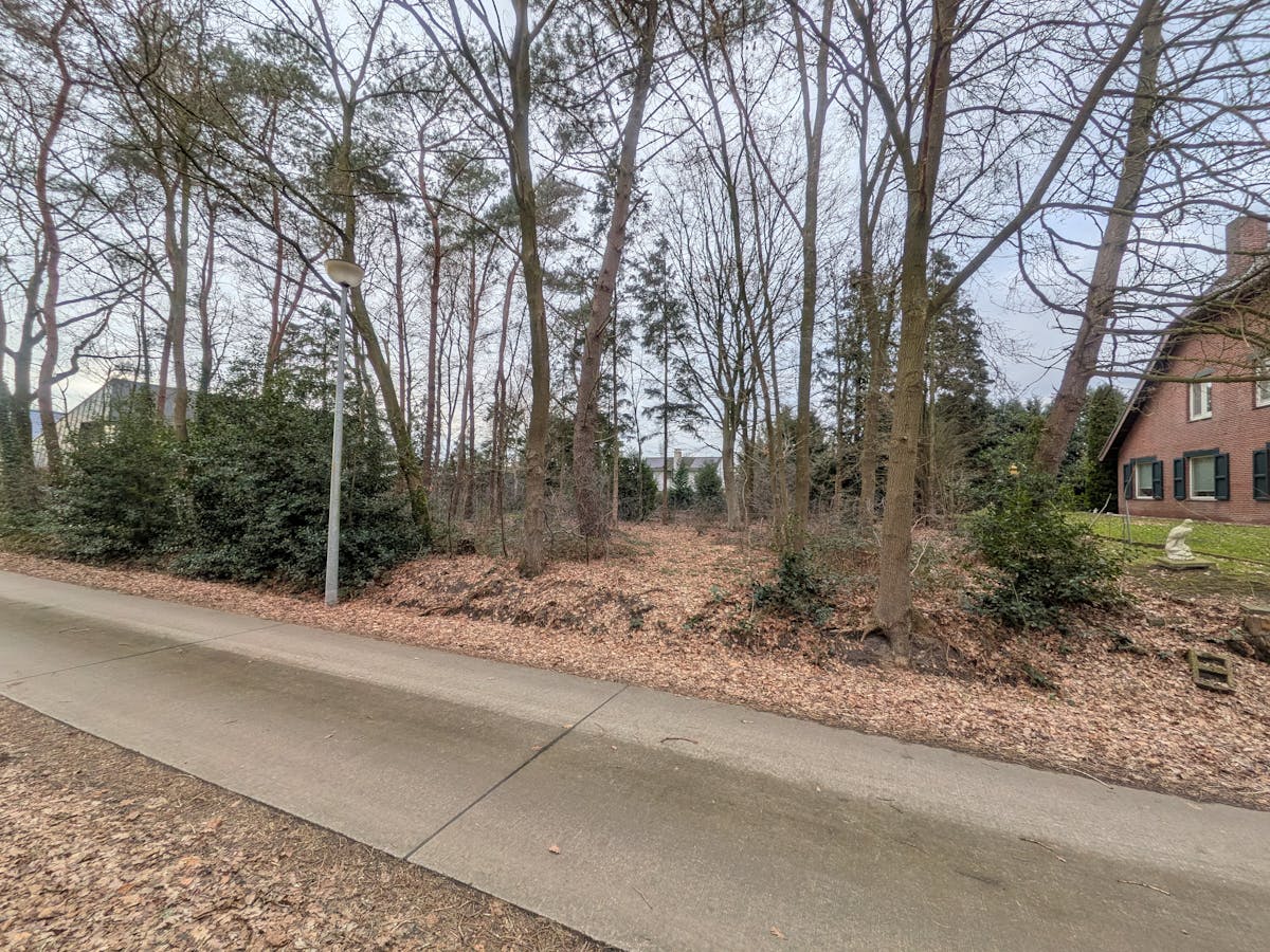 Villagrond van 14 are, 35m breed, te koop in Ravels/Poppel - foto 4