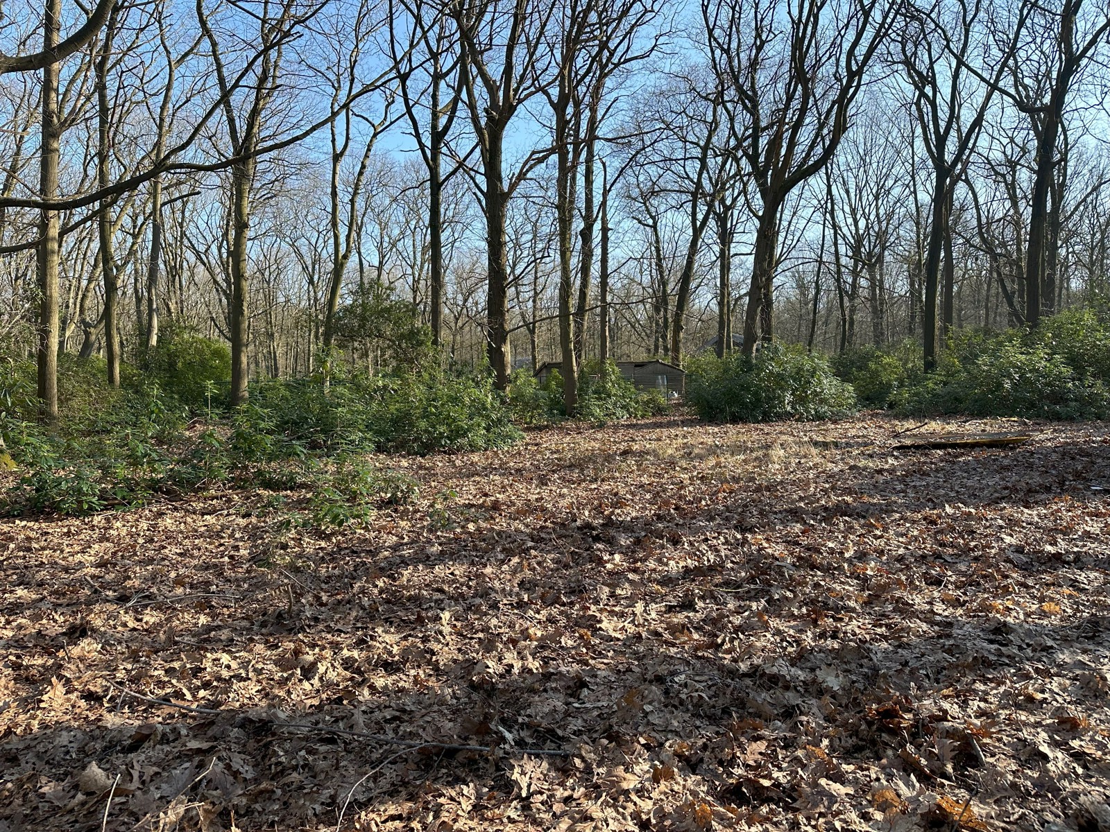 Terrain à vendre à Brasschaat - photo 2