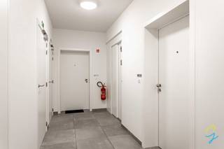 <p>Voor een bezoek of meer info bel Saimen: 0470 79 24 20 of mail naar saimen@cornelis-goeman.be<br /><br />Op zoek naar een instapklaar appartement op wandelafstand van het centrum van Brakel? Dan is dit recent appartement in de Kasteelstraat in Brakel zeker een bezoek waard.</p>
<p>Het appartement bevindt zich op de bovenste verdieping van een rustige residentie en geniet van een aangename lichtinval en een praktische indeling.</p>
<p>Via de inkomhal kom je in de ruime en gezellige leefruimte, die aansluit op de volledig uitgeruste keuken. Verder beschikt het appartement over een apart gastentoilet, een nachthal, drie volwaardige slaapkamers en een badkamer met alle comfort.</p>
<p>Als extra troef hoort er bij het appartement een <strong>privatieve garagebox </strong>verplicht bij te kopen aan € 26.000,-, waardoor je steeds over voldoende parkeer- en opbergruimte beschikt.</p>
<h3>Extra troeven:</h3>
<ul>
<li>Recent gebouw 2020</li>
<li>Gunstig EPB</li>
<li>Conforme elektriciteit</li>
<li>3 slaapkamers</li>
<li>Open zicht achter aan het gebouw</li>
<li>Privatieve garagebox</li>
</ul>
<p>Dankzij de ideleale ligging woon je in een aangename omgeving met winkels, openbaar vervoer en verbindingswegen in de nabije omgeving.</p>
<p><strong>Interesse? Neem gerust contact op voor meer informatie of een bezoek ter plaatse!</strong></p>