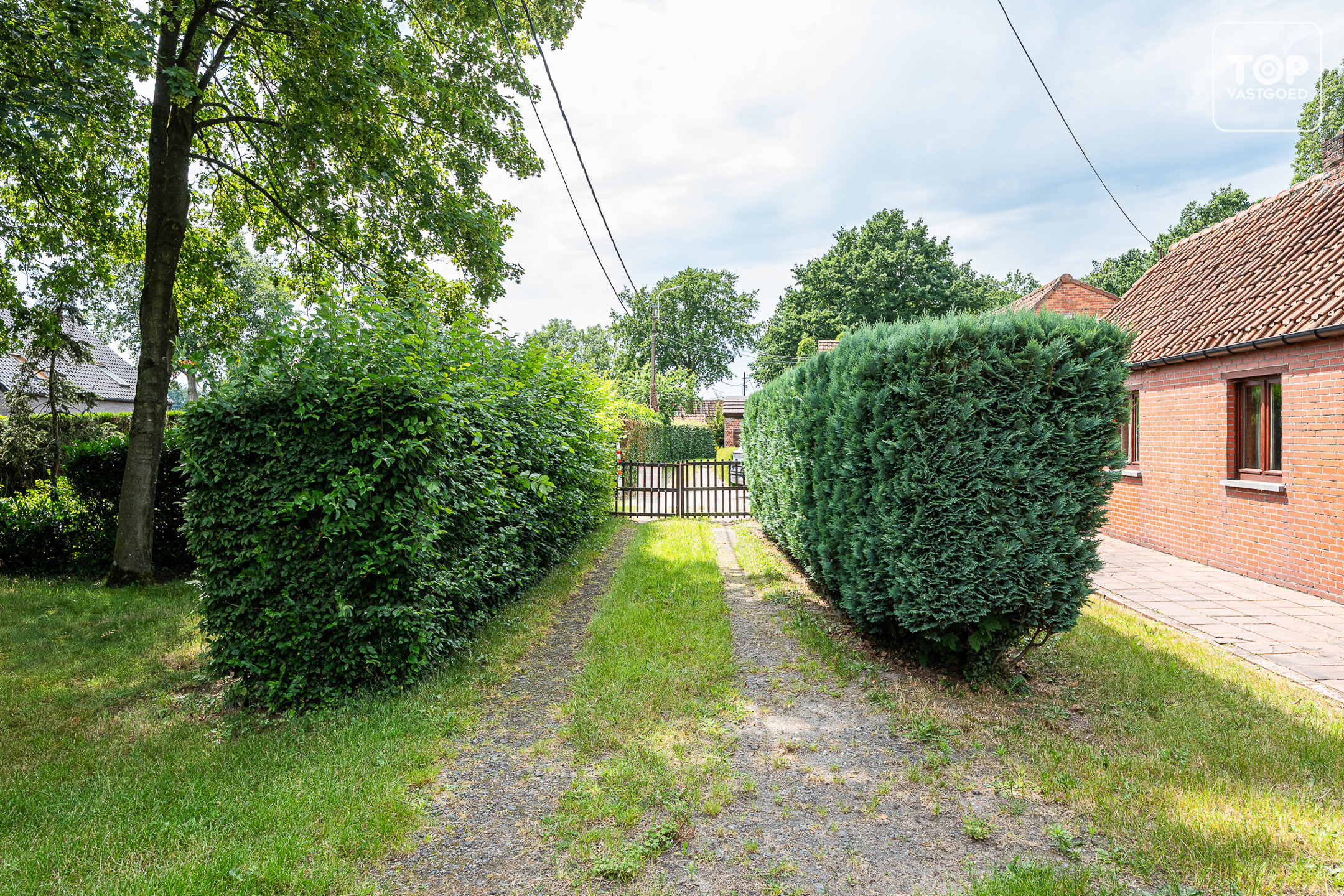 Huis te koop in Lokeren met 1 slaapkamer - foto 4