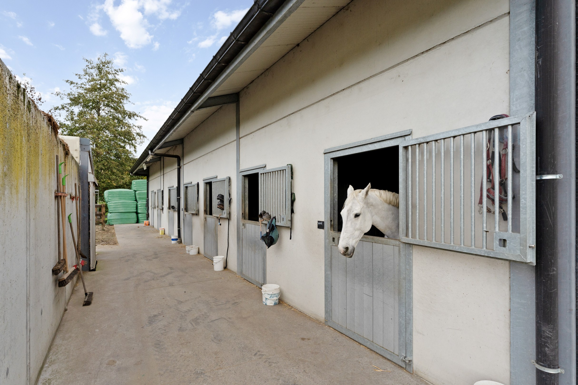 Hippische accommodatie te Dilbeek op 6ha - foto 4