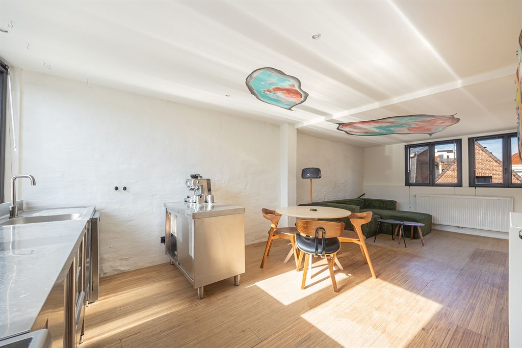 Instapklare duplex met dakterras in hartje Antwerpen - foto 2
