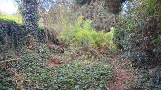 <p><span>In de wijk Schoten Donk nabij de Vaart en op korte afstand van centrum Schoten bieden wij u deze totaal te renoveren doch oerdegelijke woning met zeer grote tuin.</span></p><p><span>Mede door haar mooie gevelbreedte van ca. 7.00m beschikt deze woning over een uitstekend woonvolume met tal van mogelijkheden.</span></p><p><span>De woning werd eerder gebruikt als tweewoonst met respectievelijk op het gelijkvloers als ook op de 1ste verdieping een keuken met aansluitend een douchekamer en apart toilet.</span></p><p><span>Mits renovatie zijn er mogelijkheden tot het maken van een grote gezinswoning met tot wel 5 of 6 volwaardige slaapkamers en 2 badkamers.</span></p><p><span>De zij-ingang leent zich als ideale doorgang naar de tuin en voor fietsen.</span></p><p><span>Op zoek naar een grote gezinswoning met potentieel en herkent u de voordelen van een renovatie naar eigen keuze?</span></p><p><span>Boek dan snel een afspraak en kom zeker niet TE LAET!</span></p>