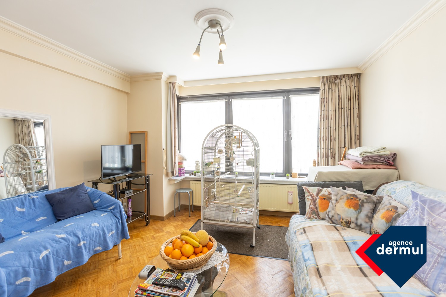 RESIDENTIE DAVID TENIERS - foto 4