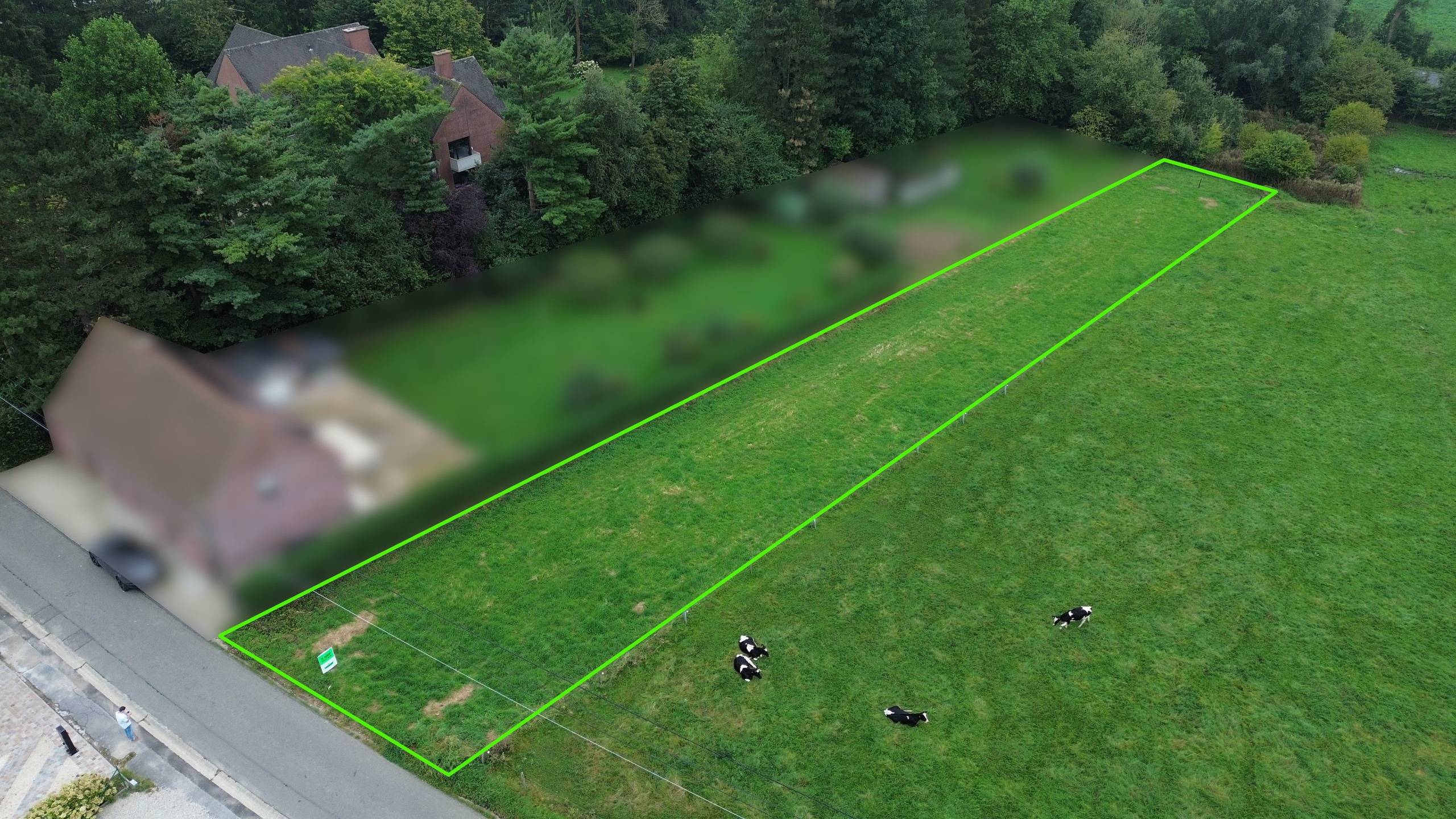 Land for sale in Ellezelles - photo 4