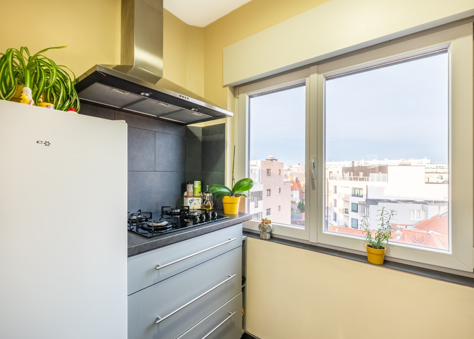 Porto Rico - 04.03 - photo 5