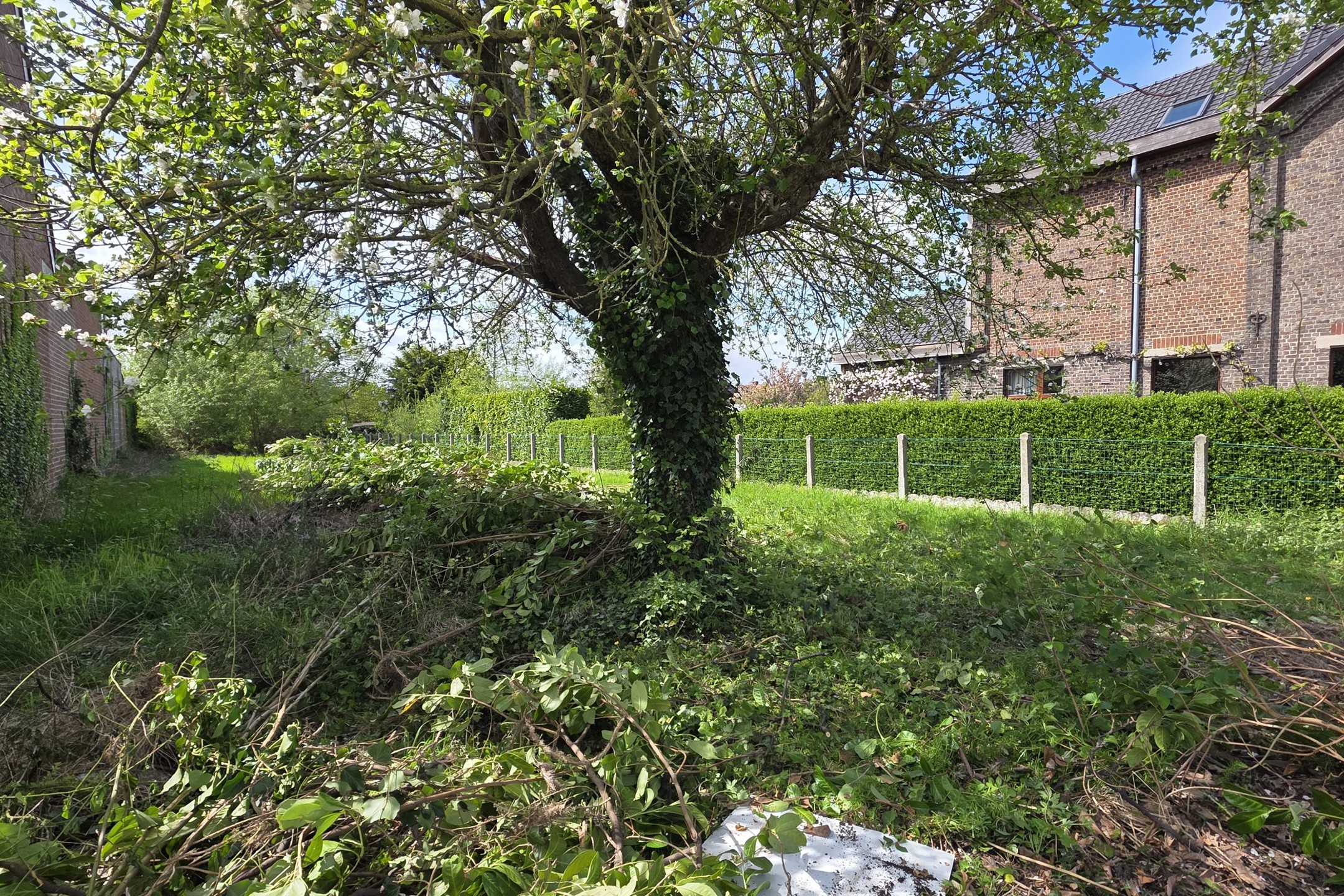 Rustig gelegen bouwgrond voor HOB nabij Kluisbos - foto 5