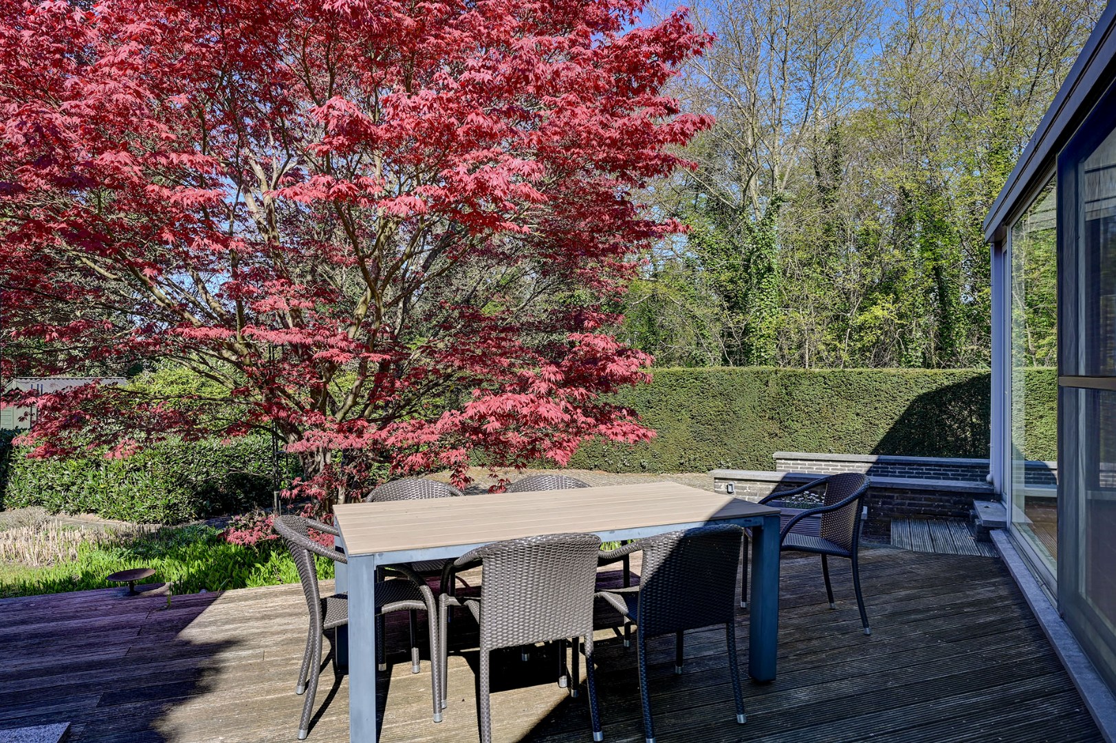 Goed onderhouden gelijkvloerse woning - foto 5