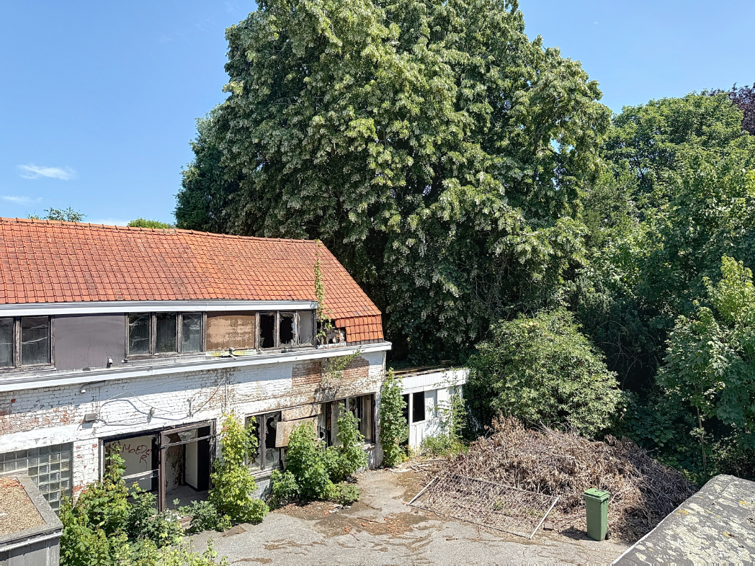Herenhuis met bijgebouwen en uitgestrekte tuin. - foto 5