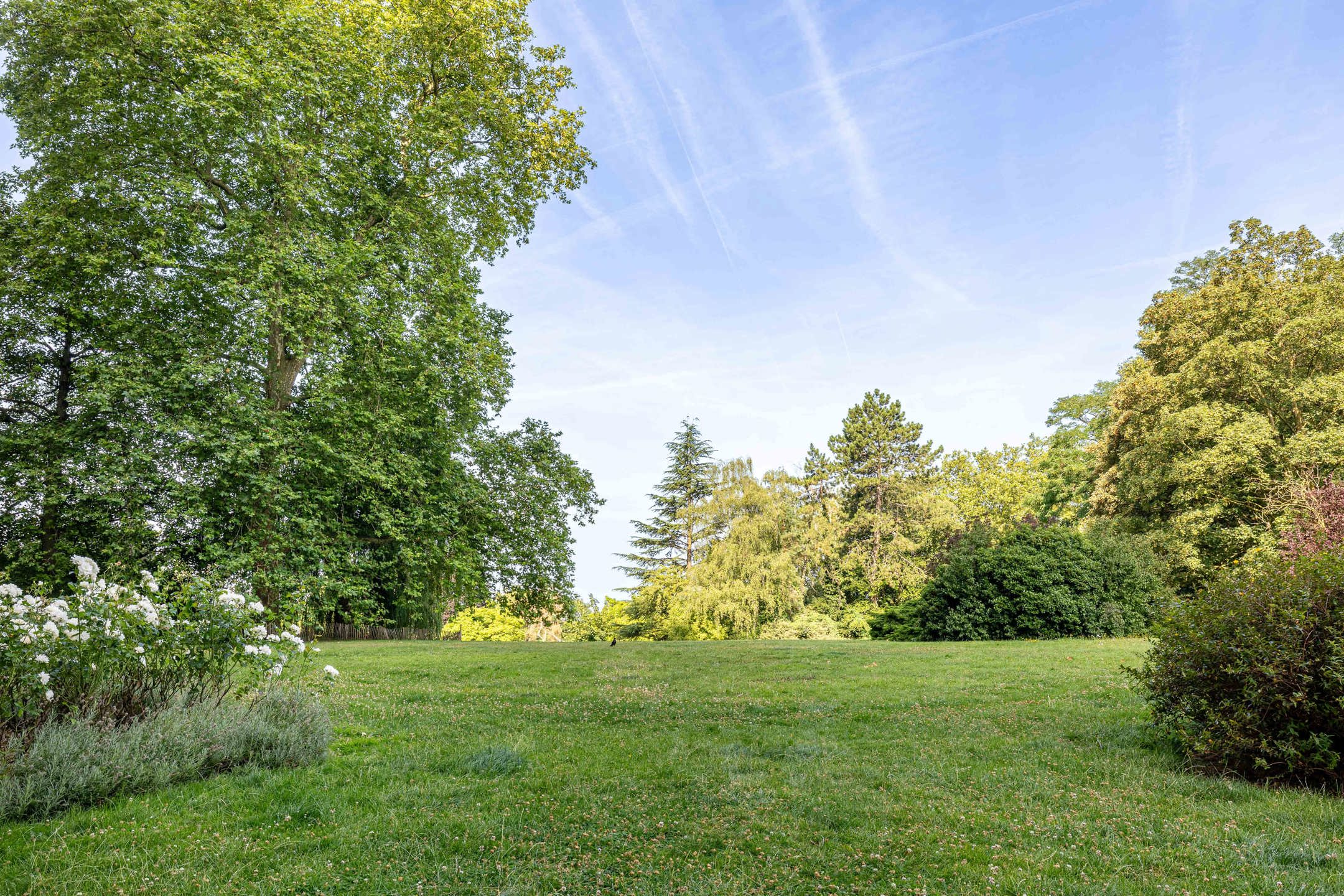 Appartement à vendre à Forest - photo 4