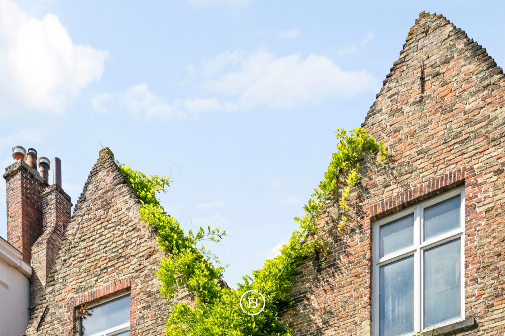 Schitterend renovatieproject - foto 4
