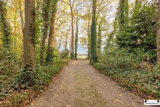 Rural house on a plot of over 6,000 m²In green and beloved Wuustwezel, this rural home in agricultural area is beautifully located on a generous plot...