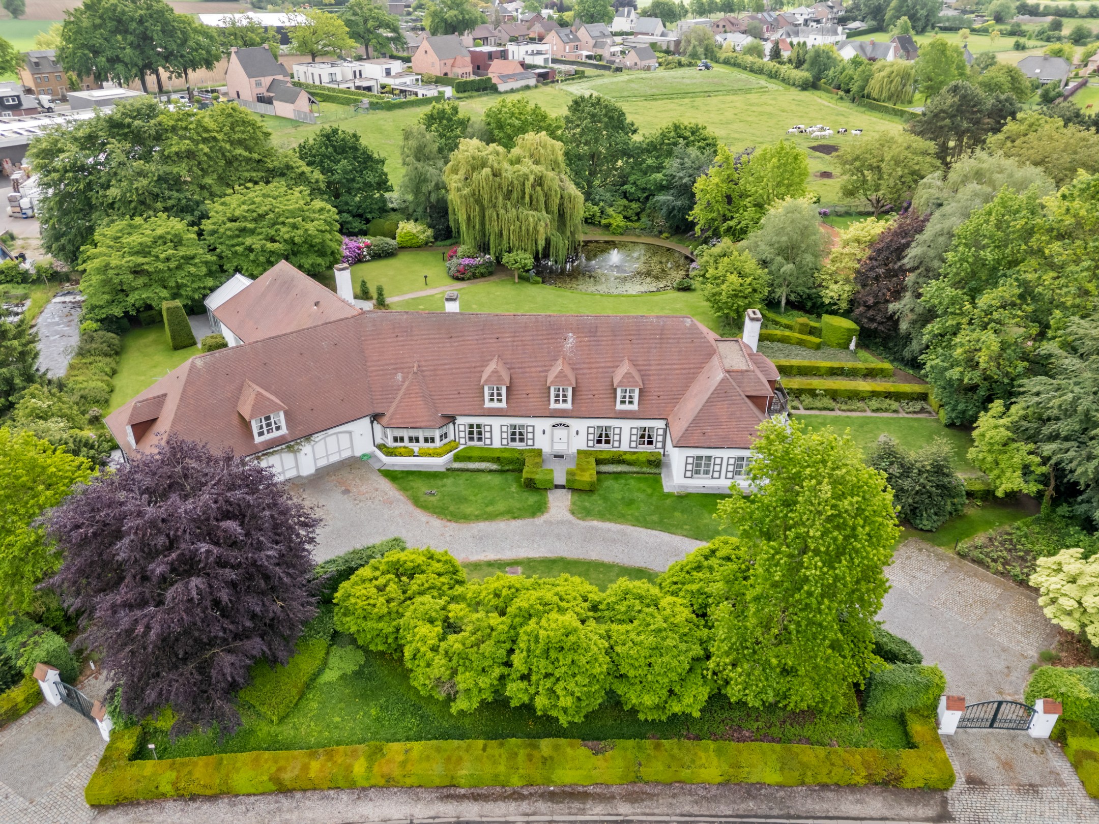 Stijlvolle, kwalitatieve villa van 1008m² gelegen op een terrein van 6709m² op wandelafstand van de binnenstad van Maaseik. - foto 5