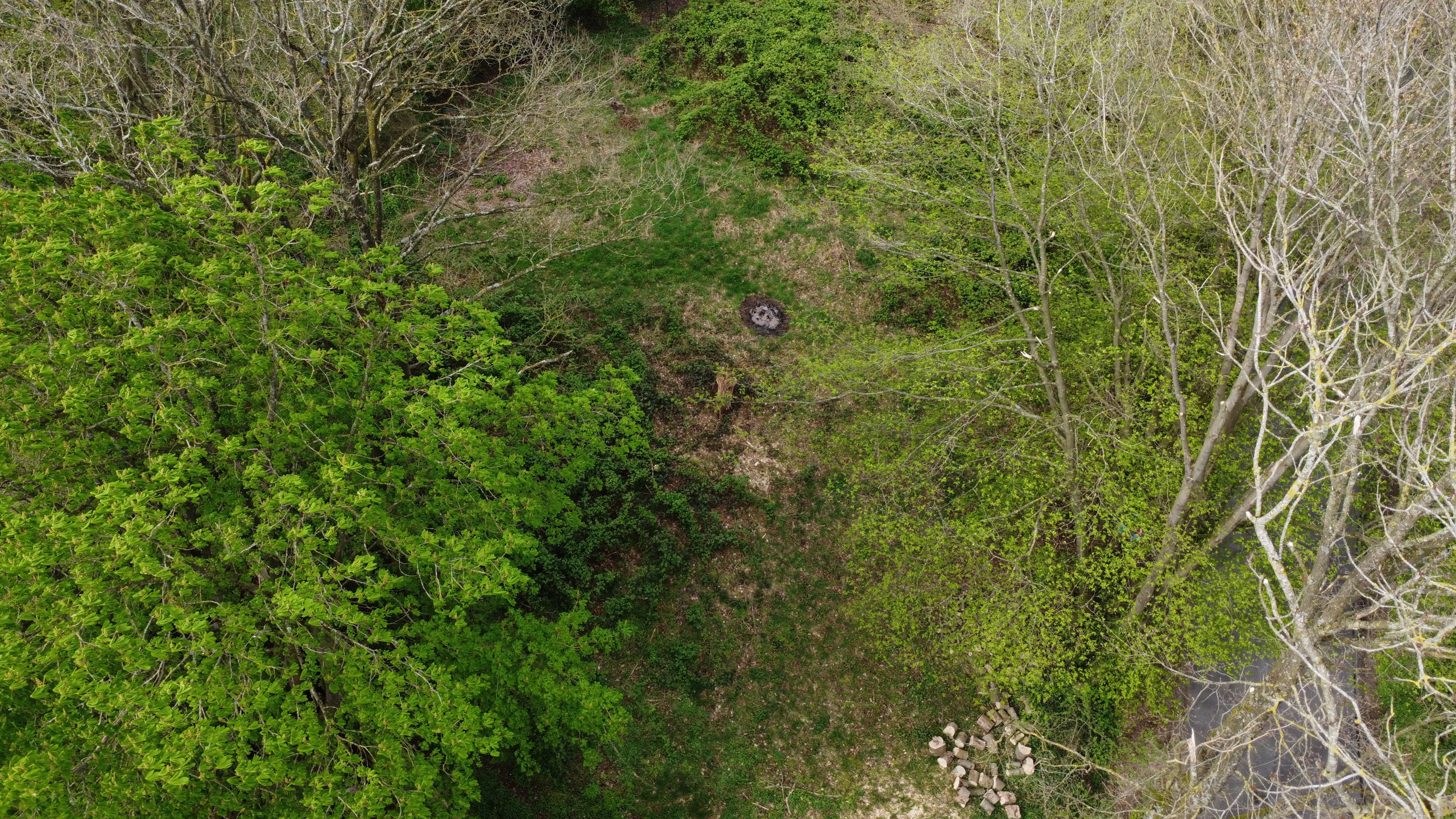 Grond te koop in Marchin - foto 2