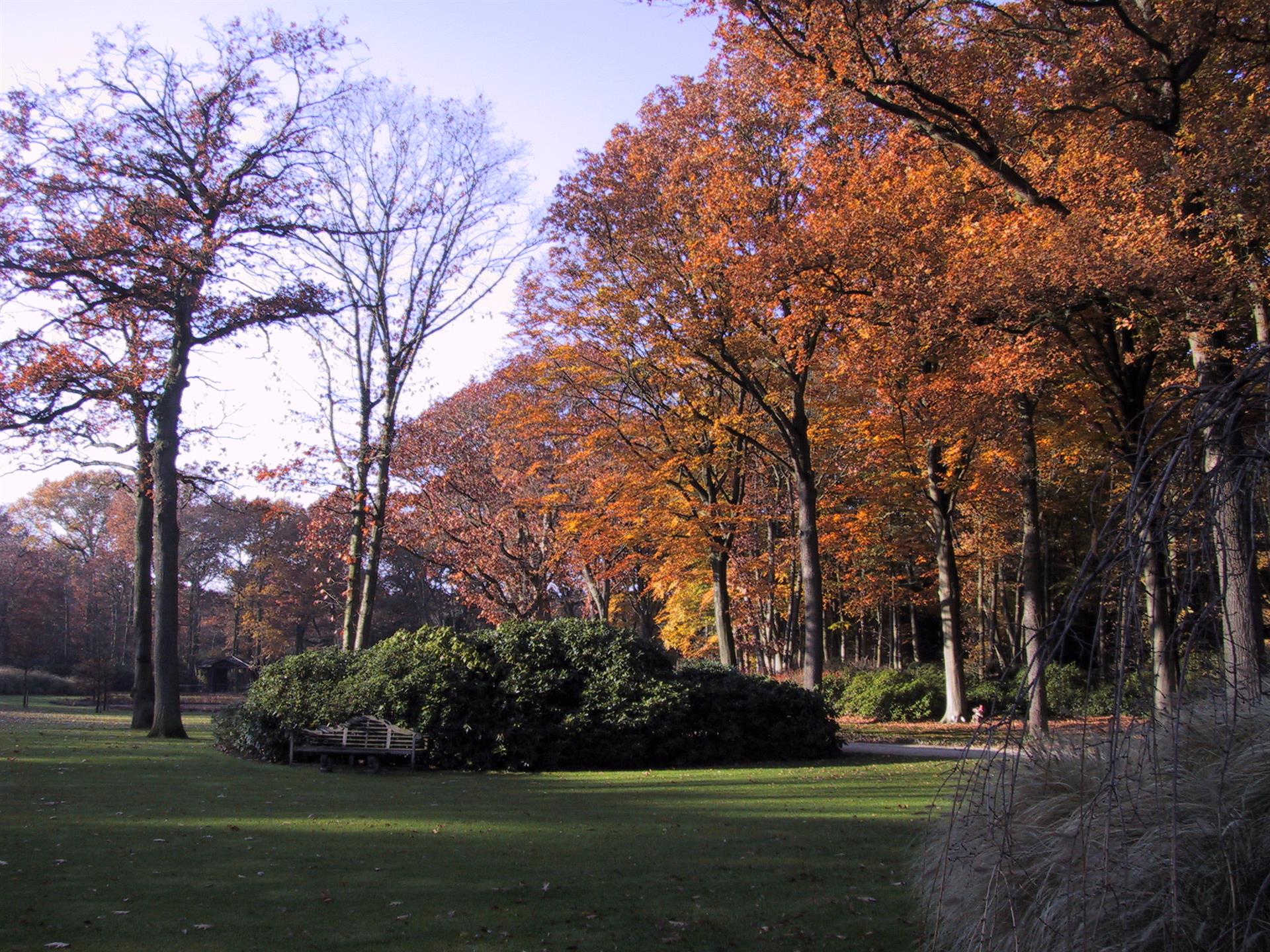 Land for sale in Brasschaat - photo 4