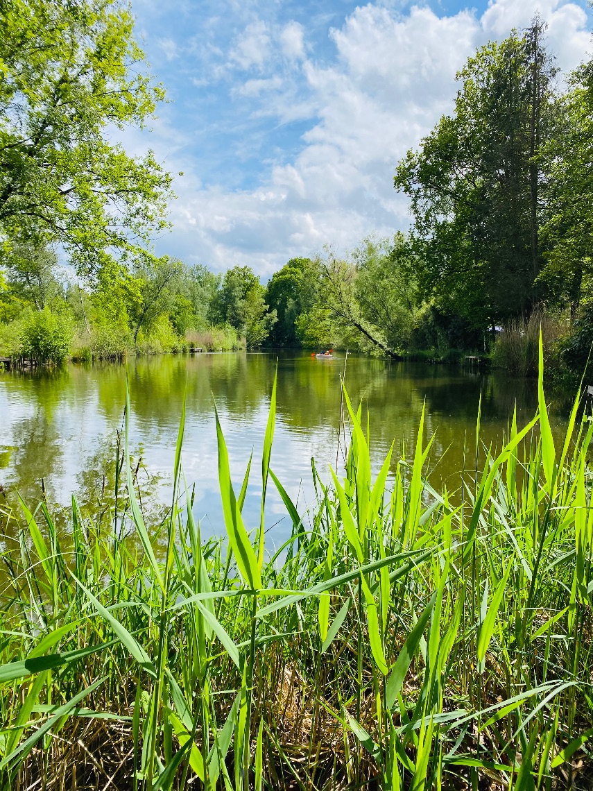 Grond te koop in Oud-Turnhout - foto 4