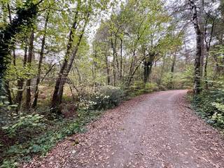 Au cœur de la magnifique ville de Zoerselbos, près de l'E34, se trouve ce terrain forestier de 6 000 m², une oasis de paix et de nature. Entouré...