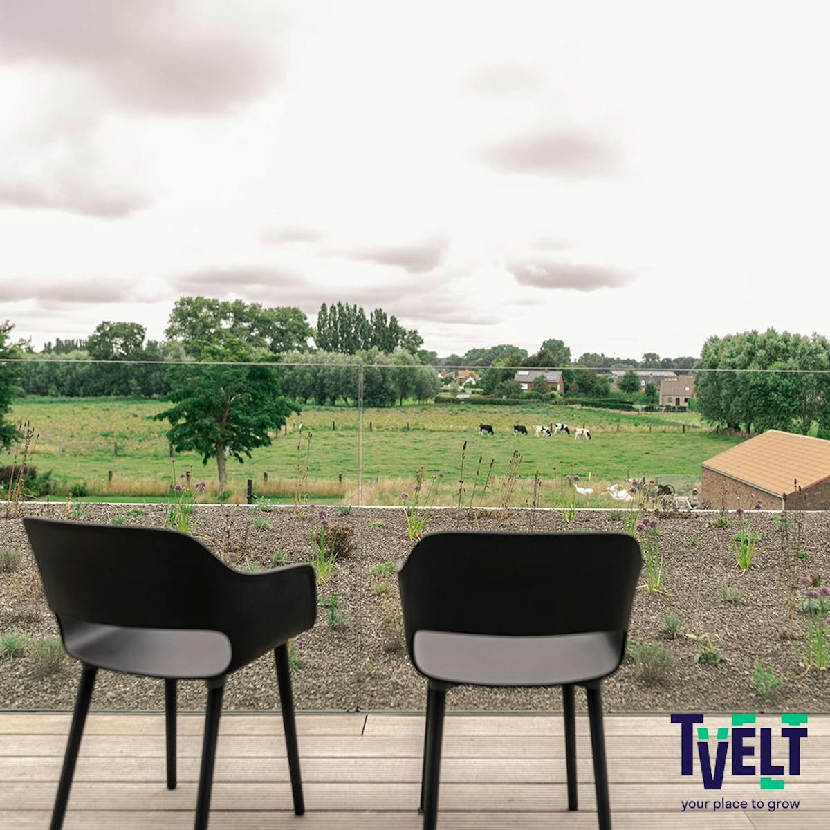 kantoorruimtes te huur in Veldegem – nieuw en instapklaar - foto 2