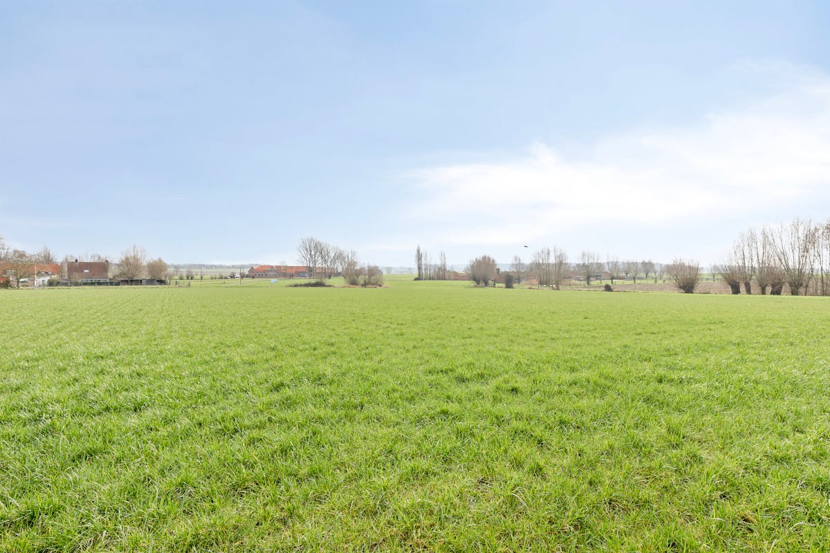 Leuk huis te koop in Voormezele  op 500m² op uiterst rustige locatie - foto 3