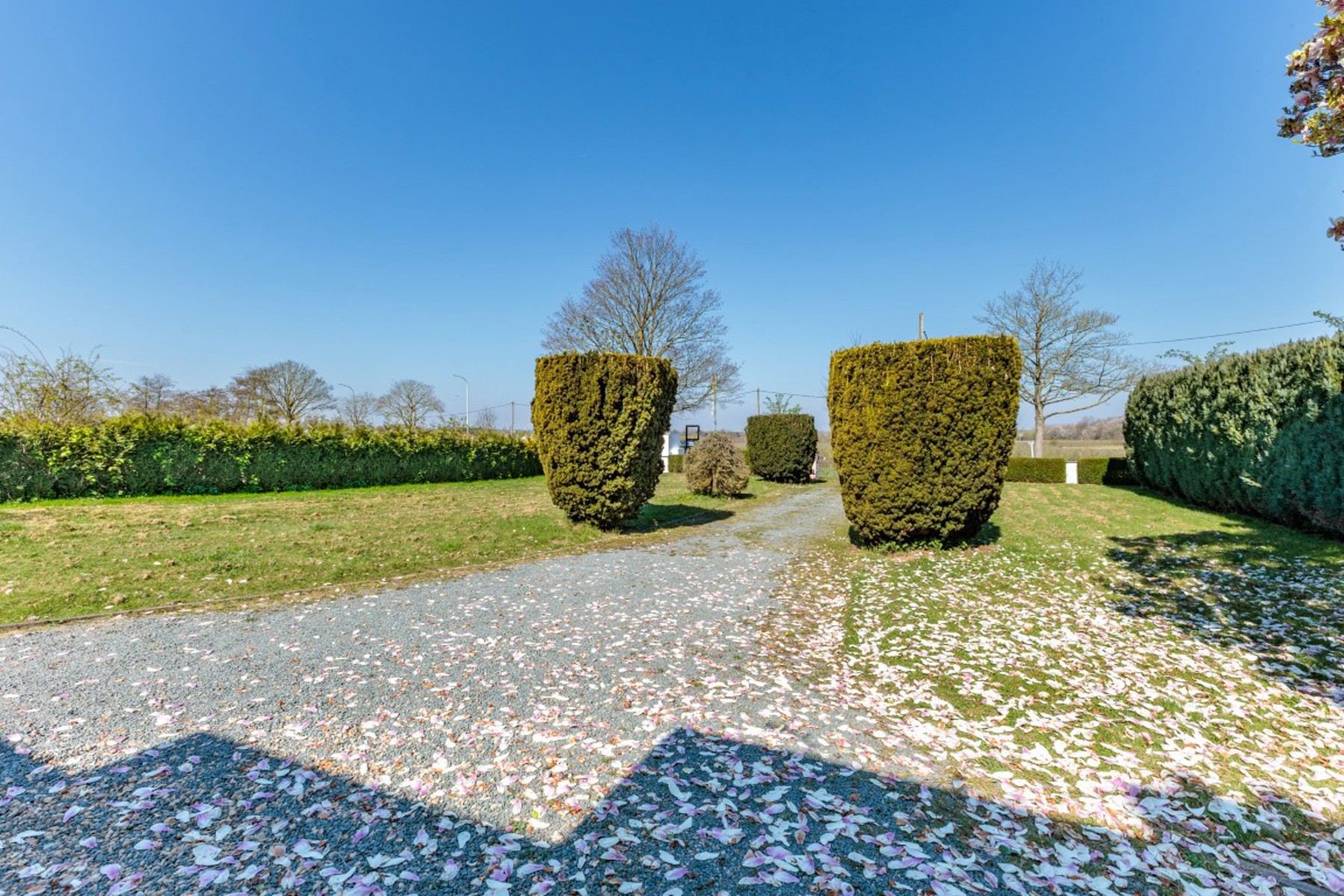 Ruime villa met 5 slaapkamers en zwembad - foto 5