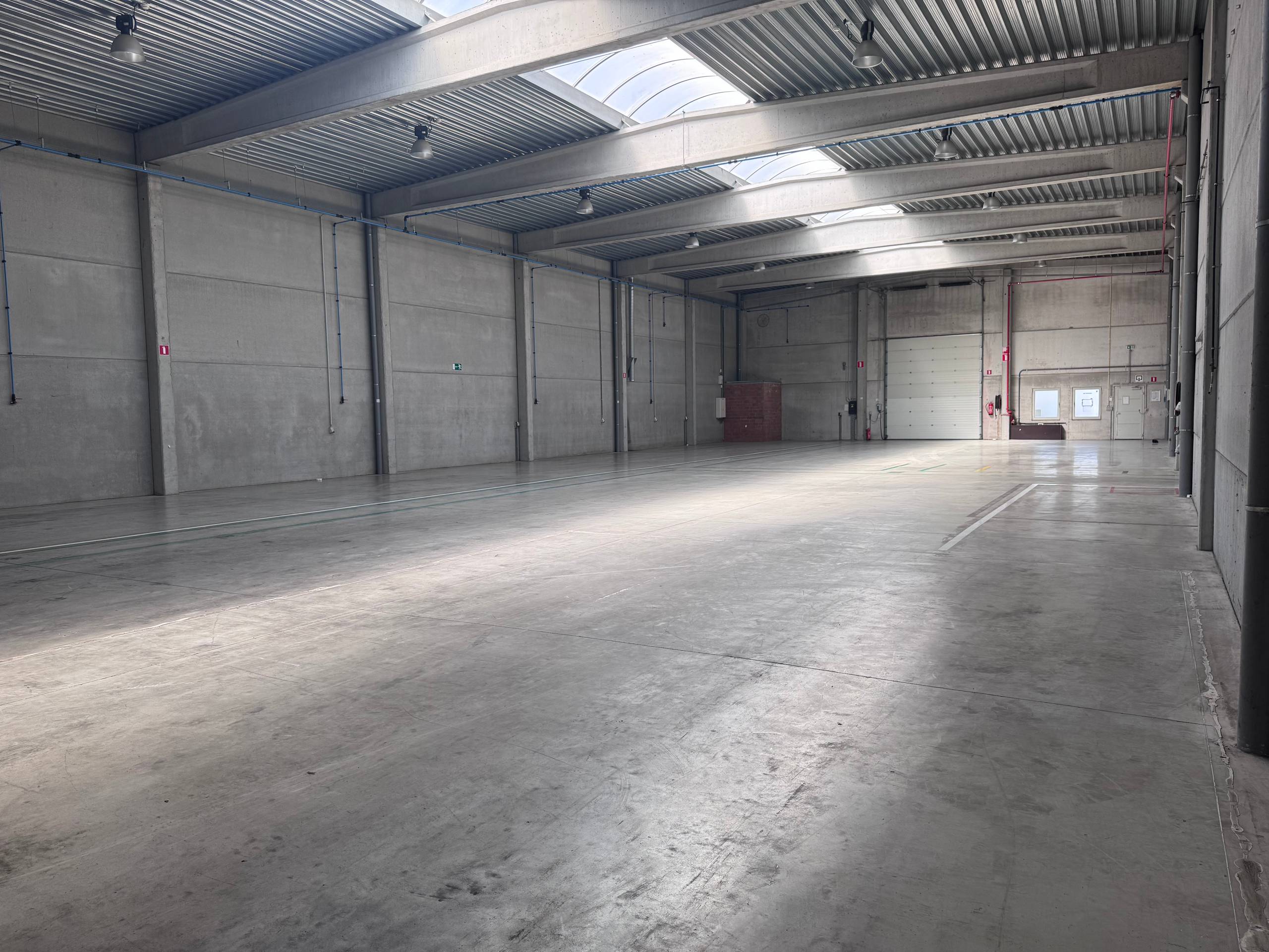 Magazijnruimte van 755 m² op absolute toplocatie vlakbij E17 - photo 4